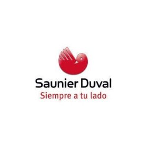 PLACA DE CONTROL CALDERA SAUNIER DUVAL THERMACLASSIC F 25 E